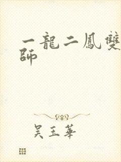 一龙二凤双飞老师