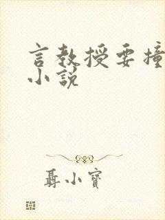 言教授要撞坏了小说