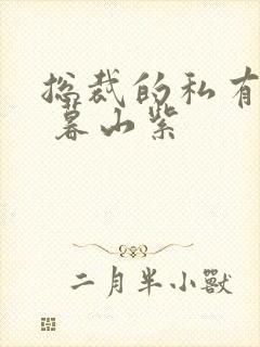 总裁的私有宝贝 暮山紫