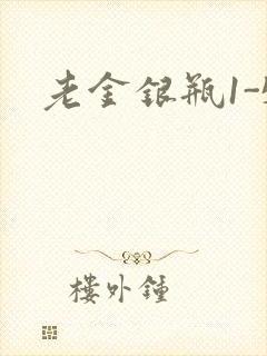 老金银瓶1-5