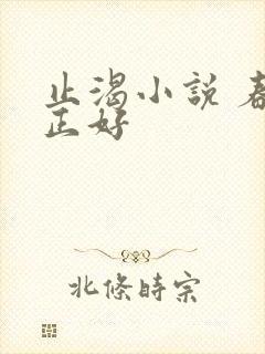 止渴小说 春光正好