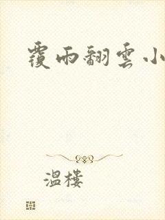 覆雨翻云小说