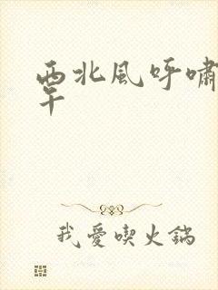 西北风呼啸的中午