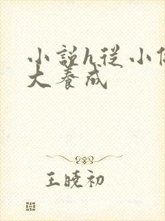 小说h从小做到大养成