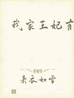 我家王妃有点野