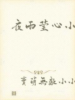 夜雨莹心小说