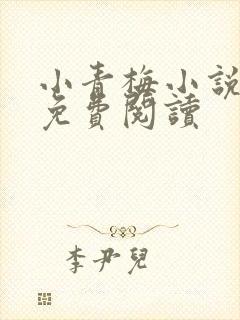 小青梅小说全文免费阅读