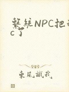 系统NPC把我c了