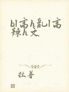 bl高h乱l高辣h文