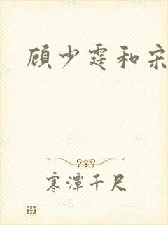 顾少霆和宋斯曼