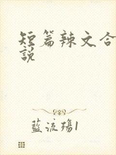 短篇辣文合集小说