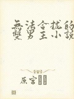 无法合拢的总裁双男主小说