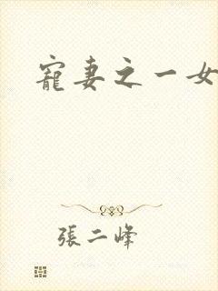 宠妻之一女二夫