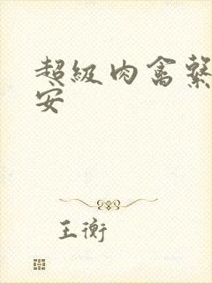 超级肉禽系统保安