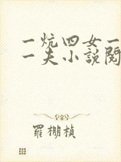 一炕四女一共侍一夫小说阅读