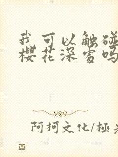 我可以触碰你的樱花深处吗