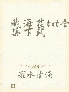 藏海花txt全集下载