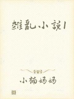 杂乱小说1