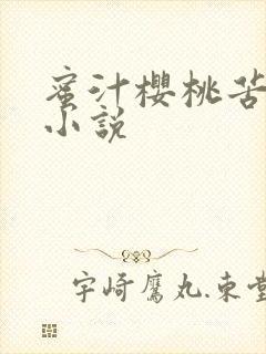 蜜汁樱桃苦咖啡小说