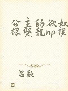 公主的欲奴h四根双龙np视频