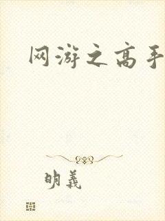 网游之高手寂寞