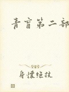 青盲第二部