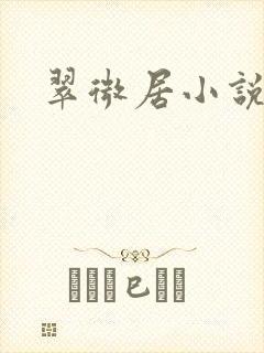 翠微居小说