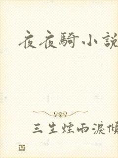 夜夜骑小说