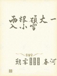 两根硕大一起挤入小雪