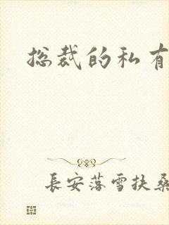 总裁的私有宝贝