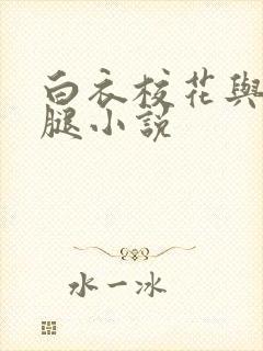 白衣校花与大长腿小说