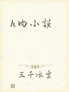 h肉小说