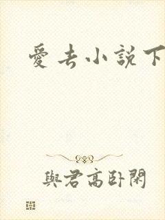 爱去小说下载网