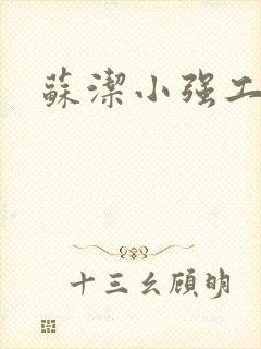 苏洁小强工地情