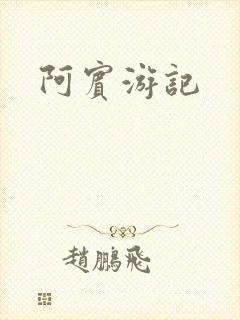 阿宾游记