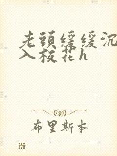 老头缓缓沉腰进入校花h