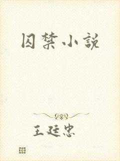 囚禁小说