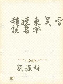 赵晓东吴雪晴小说名字