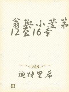 翁与小莹第十部12至16章