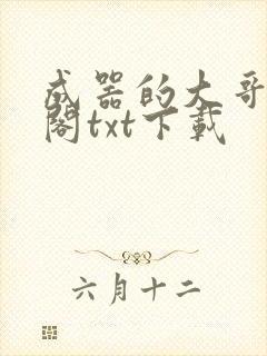 成器的大哥笔趣阁txt下载