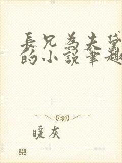 长兄为夫黛珂妃的小说笔趣阁全文