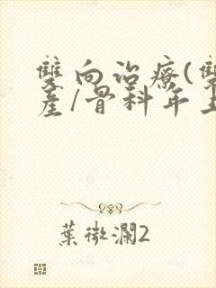 双向治疗(双/产/骨科年上)