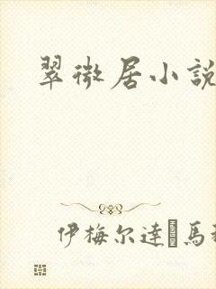 翠微居小说