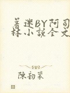 着迷BY阿司匹林小说全文免费阅读