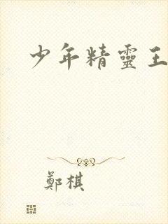 少年精灵王