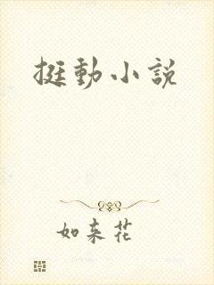 挺动小说