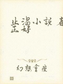 止渴小说 春光正好