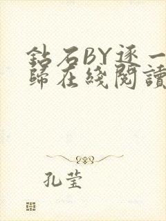 钻石BY逐一而归在线阅读