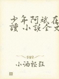 少年阿斌在线阅读 小说全文免费