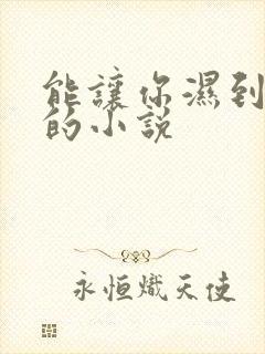 能让你湿到不行的小说